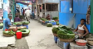পটুয়াখালীতে পান চাষে স্বাবলম্বী হচ্ছেন ক্ষুদ্র ব্যবসায়ীরা